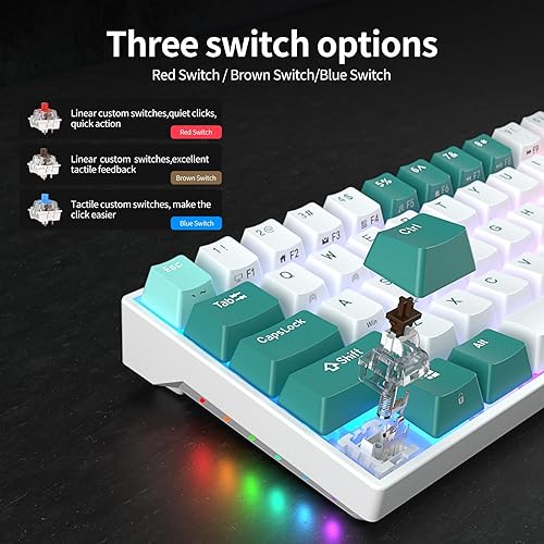 Miniatura 7 de RK ROYAL KLUDGE 70% Mechanical Keyboard - RK71 Wireless Gaming Keyboard with Hot-Swappable Red Switches, Double-Shot Creamy Keycaps, RGB Backlit,