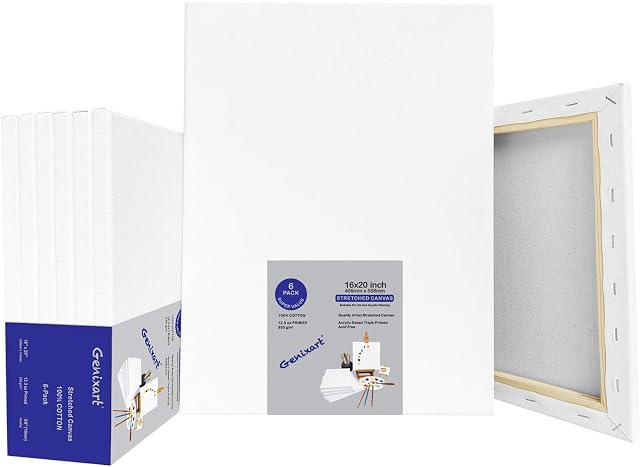 Genixart 40x50cm / 16"x20" Inch White Blank Stretched Canvas, Pack of 5, Primed Professional Artist Canvases for Acrylics & Oils Painting