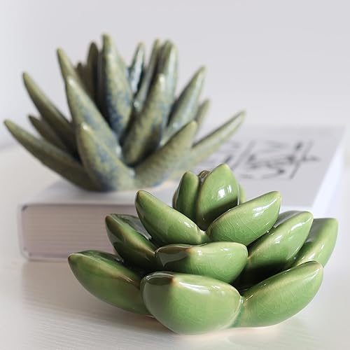 Vista 13 de Mesa de cerámica suculenta flores con base estable, mesa decorativa hecha a mano 3D (Cactus)