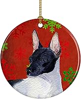 Vista 19 de Caroline's Treasures Dachshund copos de nieve rojos y verdes, adorno de cerámica de Navidad para colgar en el árbol de Navidad, decoración