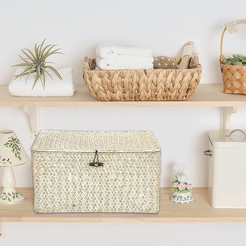 Vista 36 de Hipiwe Cestas de mimbre con tapa, cesta de pastos marinos tejida a mano, cestas rectangulares para el hogar, cajas para estantes, armario, Café