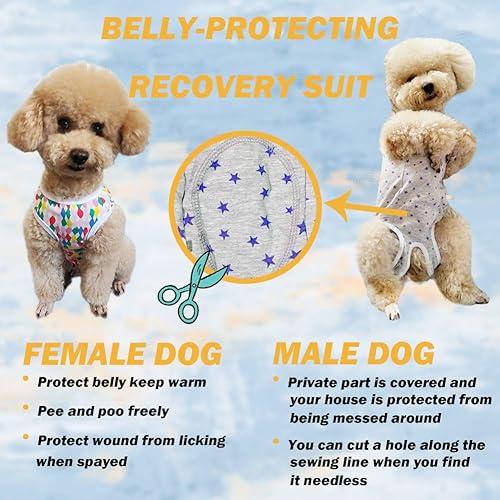 Miniatura 5 de Traje de recuperación para perros Camisa poscirugía para cachorros, ropa protectora de heridas para animales pequeños (azul-XS)