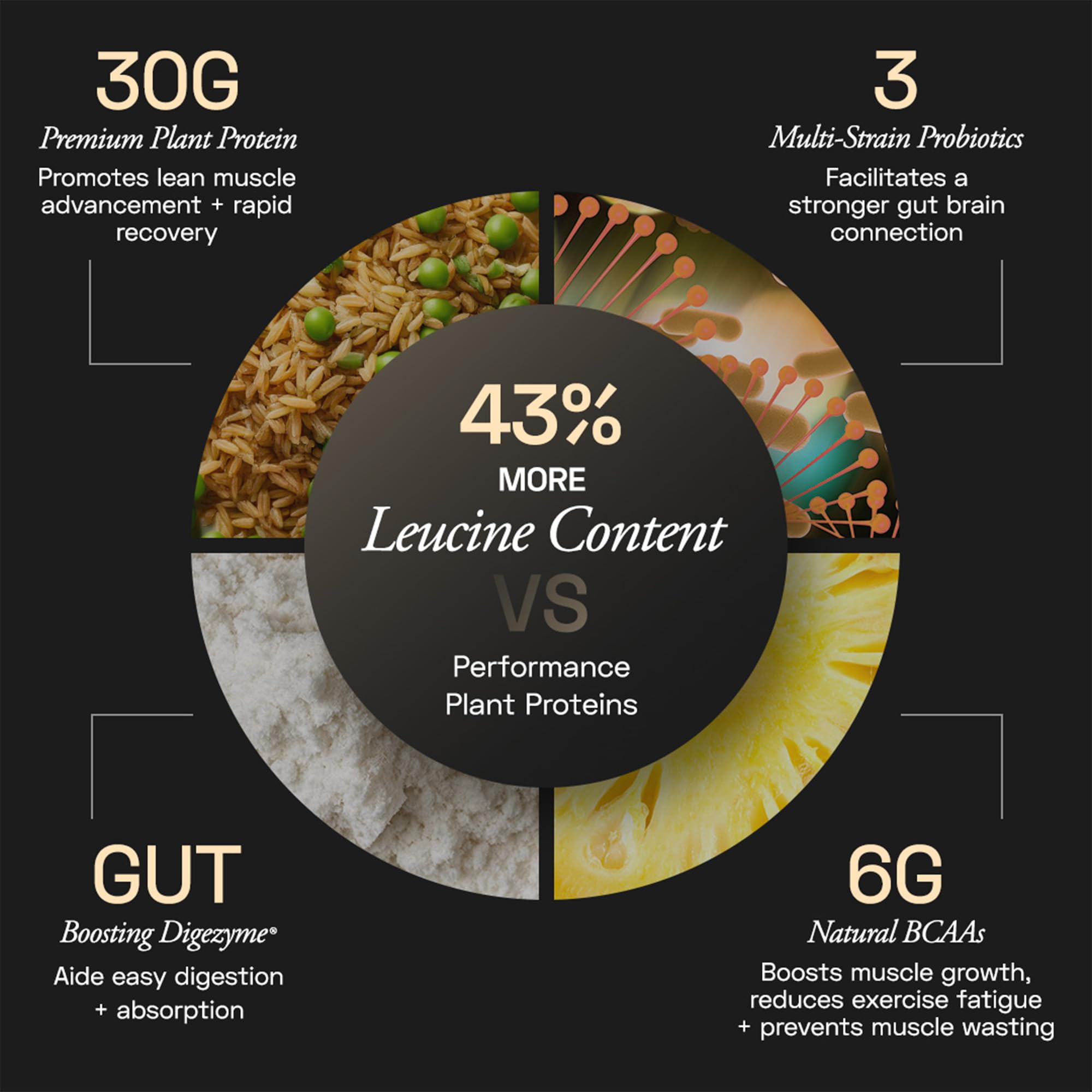 Ace Blend Intense 30g Plant Protein | Supports Muscle Growth & Recovery | Reduces Post-Workout Fatigue | 6g BCAA Amino Profile | Easy to Digest | For Men & Women | Chocolate Hazelnut (4 Servings) 1