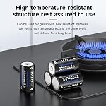 Batteries D rechargeables Ni-MH 1.2V 8000mAh Pile de batterie de taille D avec boîtier de rangement, paquet de 6