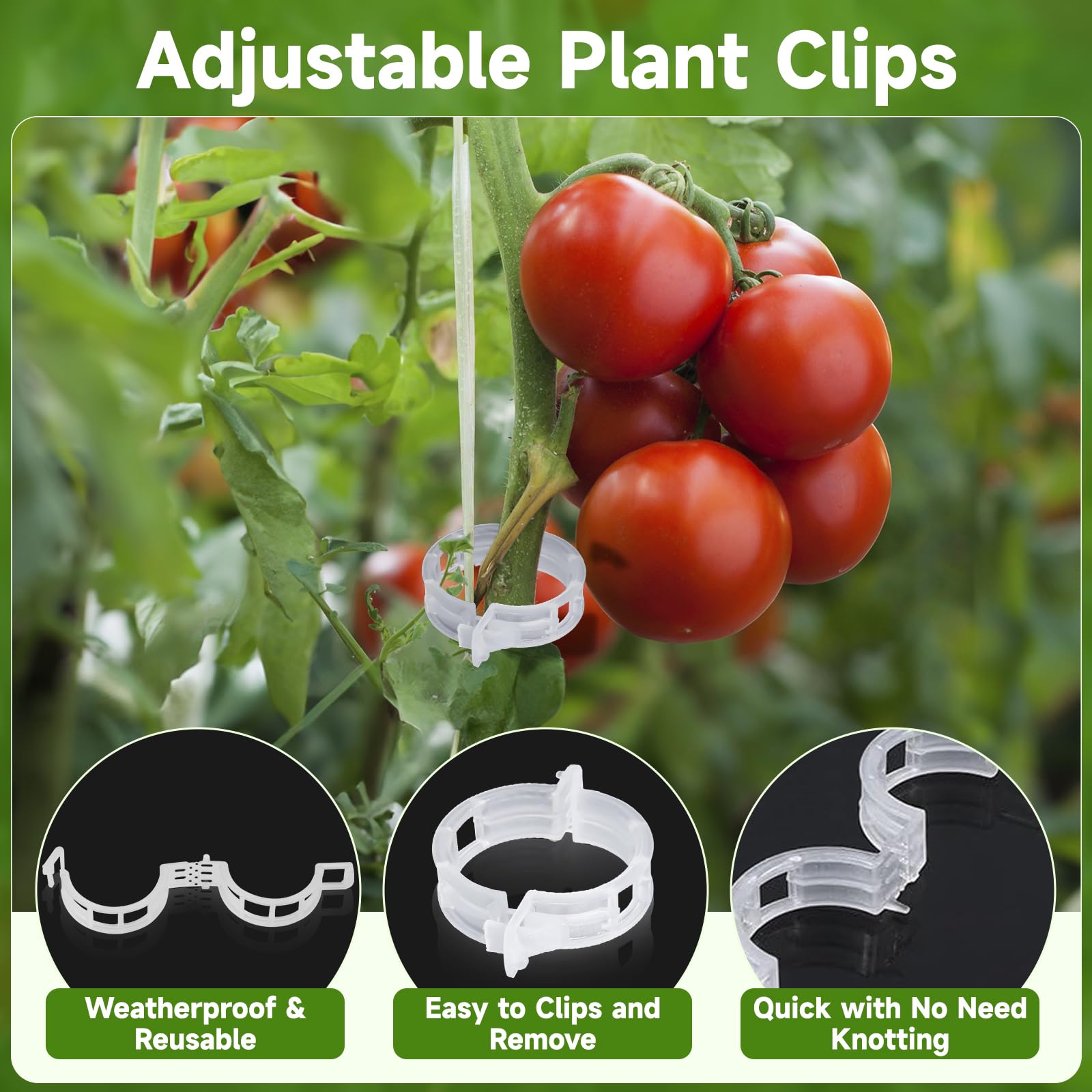 KINGLAKE Kit Gancio Per Pomodori Con Spago – 20 Ganci In Metallo, 20 Clip E 10 M Di Corda, Per Sostenere Piante Rampicanti In Giardino - 2