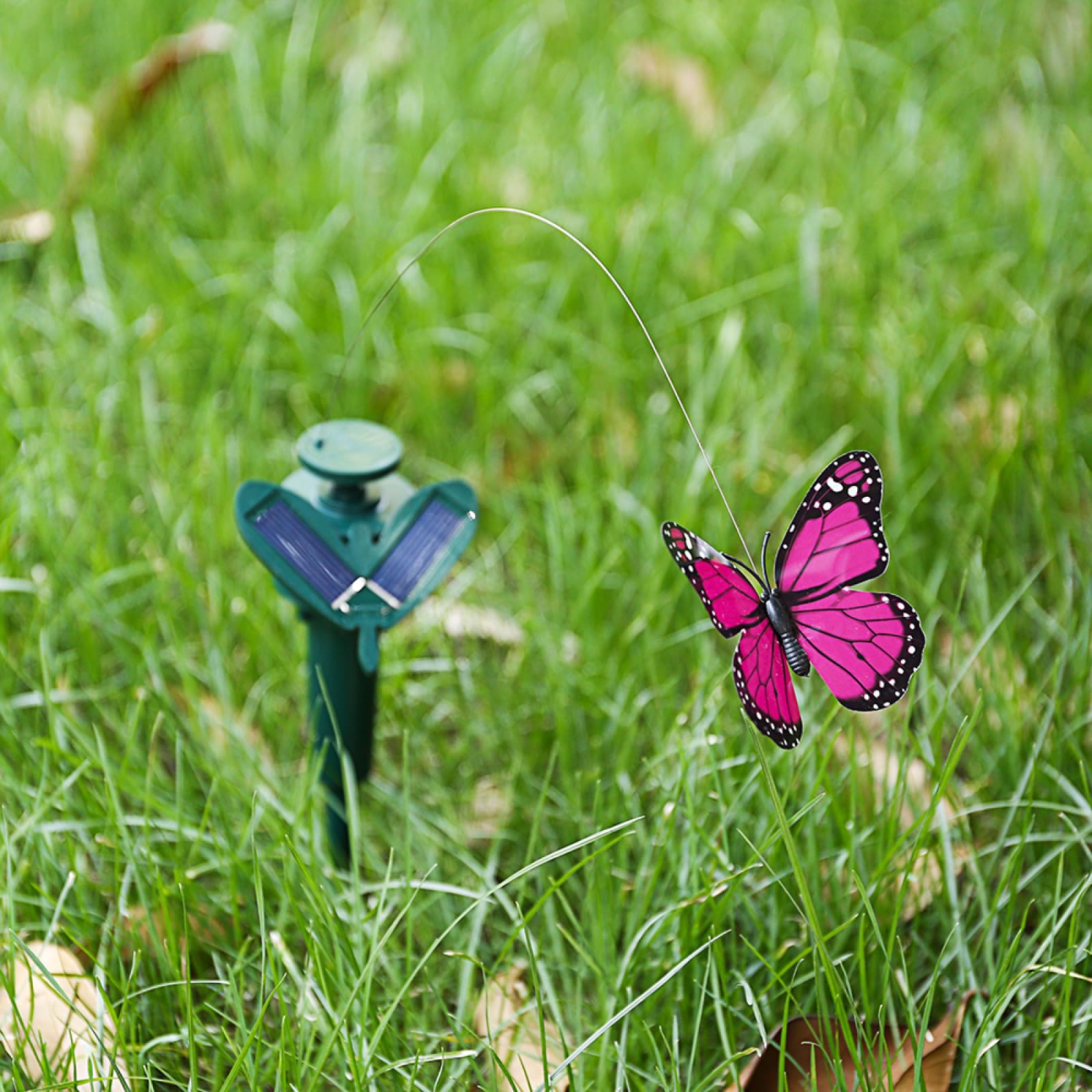 Farfalle danzanti svolazzanti e colibrì volanti alimentati a energia solare, decorazione per giardino e cortile
