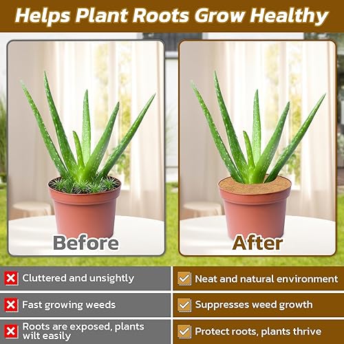 Miniatura 5 de Legigo 10 alfombrillas protectoras de 6 pulgadas de diámetro, fibra de coco para árboles, fibra de coco natural, protección contra malas hierbas