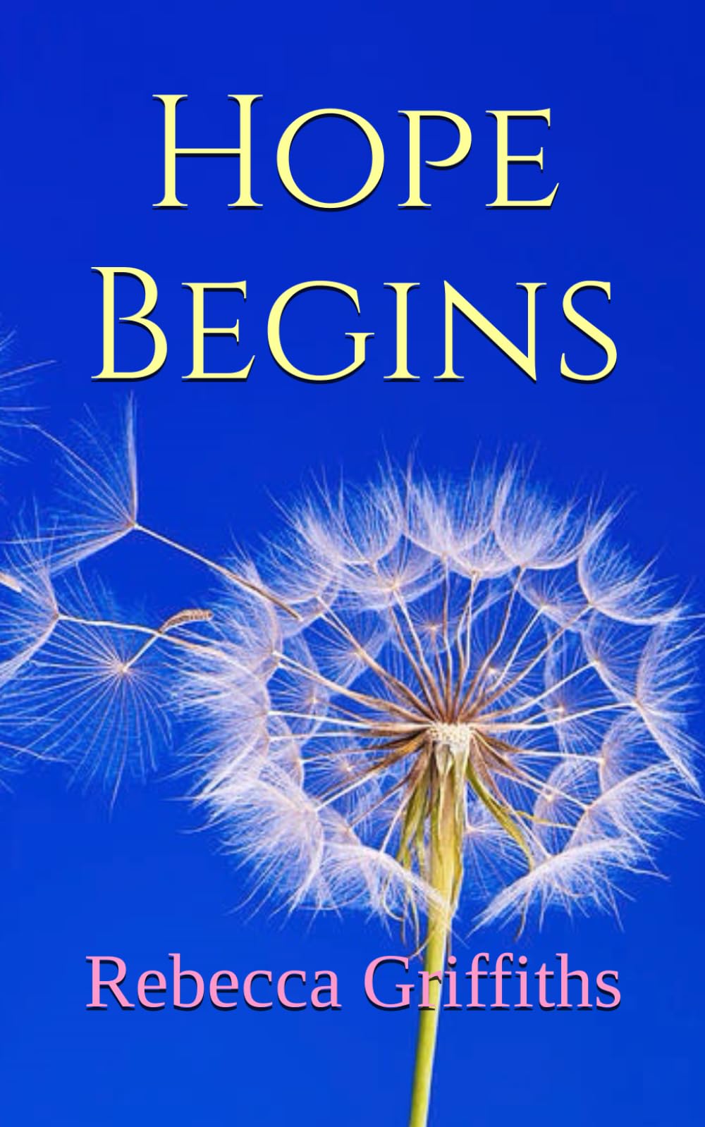Hope Begins: An emotional love story that will capture your heart and never let go