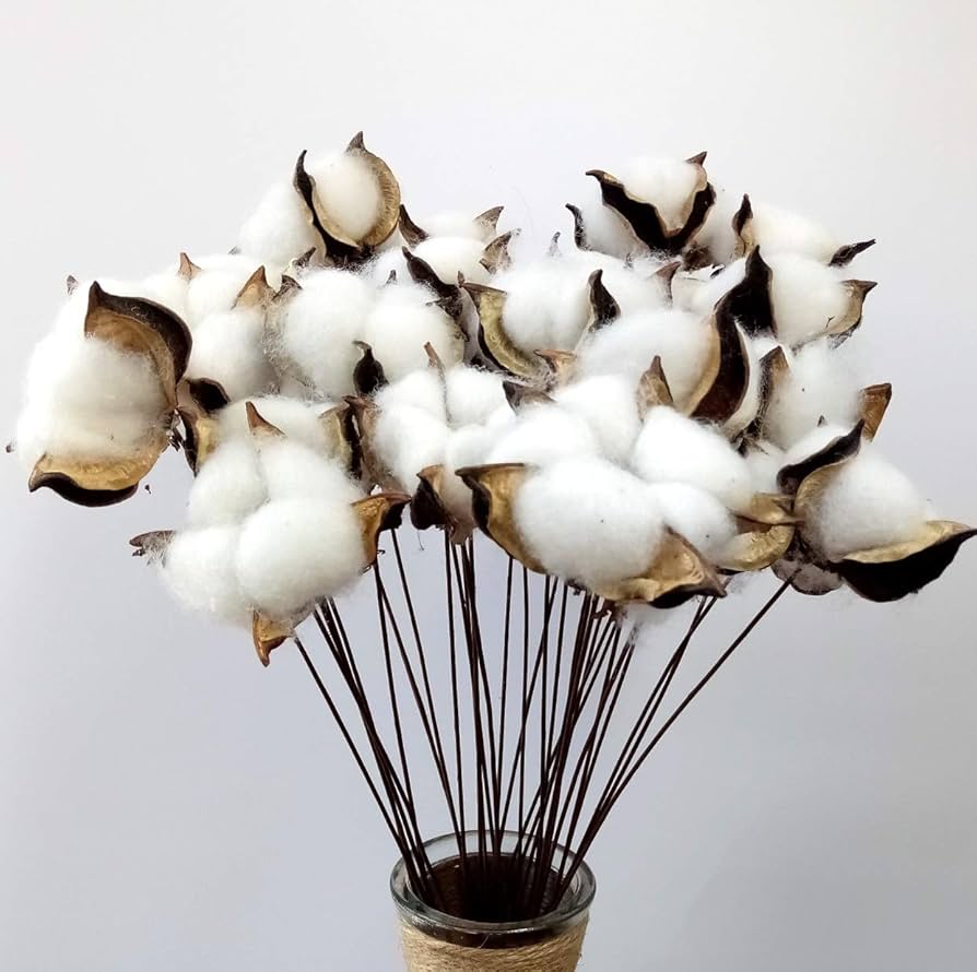 Amazon | 花のアレンジメントのための30個の天然コットンボール