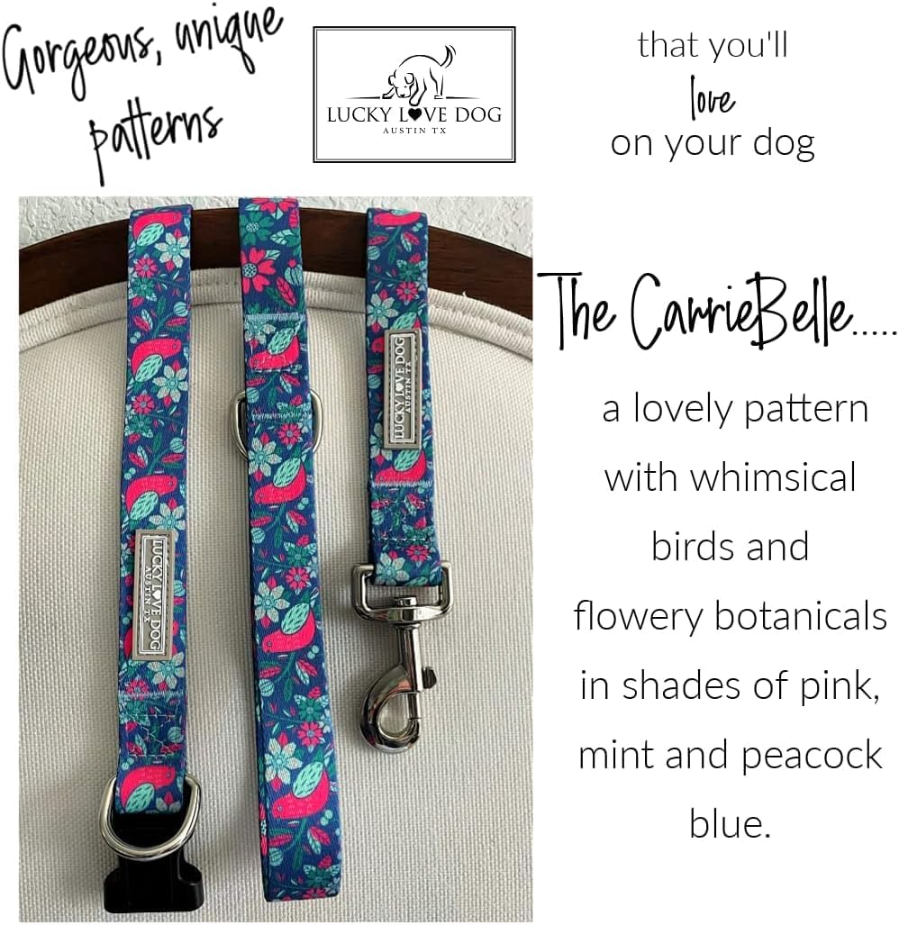 Lucky Love Dog - Easy Click Buckle Dog Collar with Leash Set Combo, Durable & Comfortable for Male & Female Dogs, Pet Collar for Large Dogs, Secure Fit - Carriebelle Martingale Combo, Large