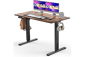 SMUG 48x24" Electric Height Adjustable Standing Desk: Smart Home Office Solution for...