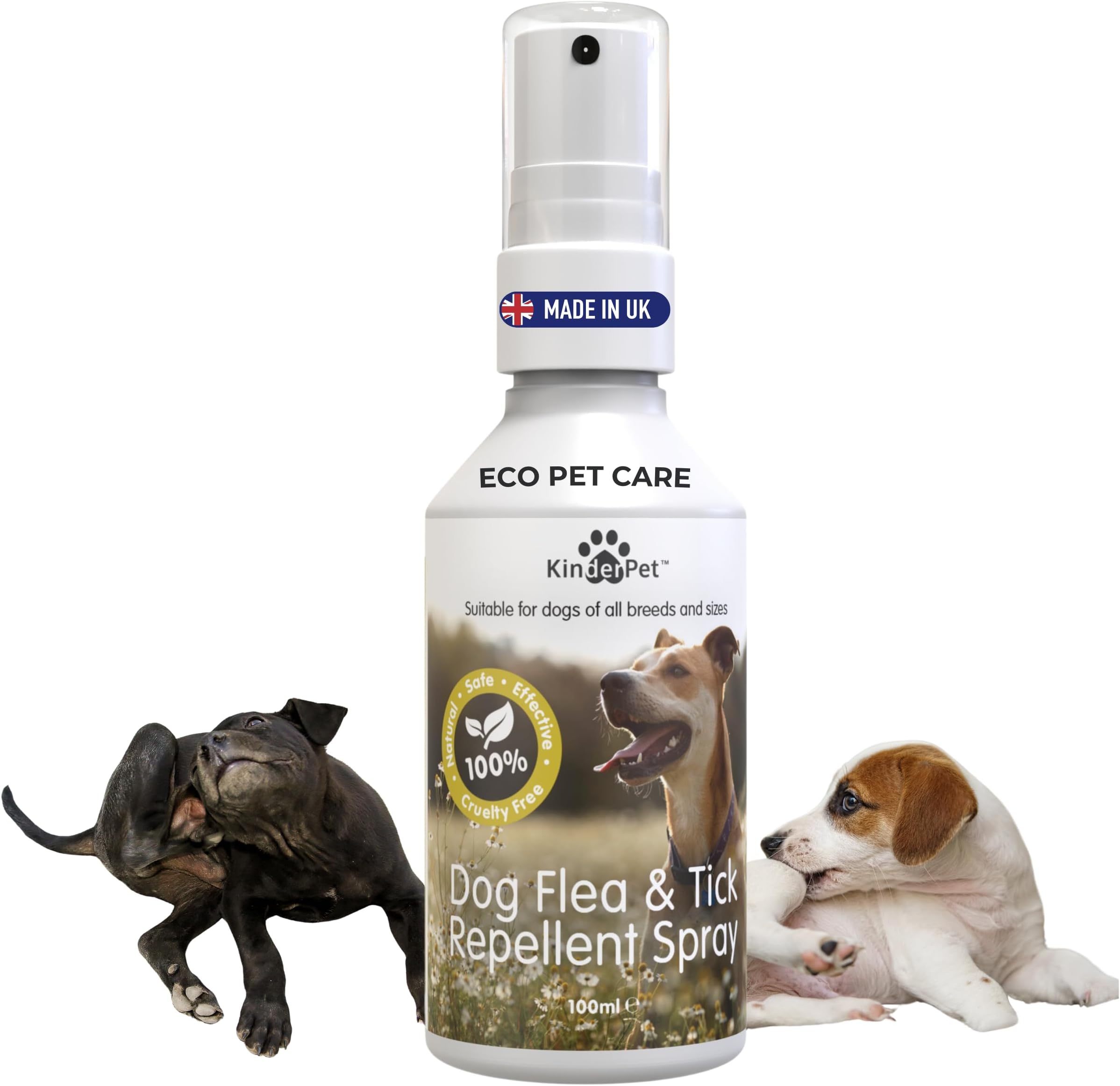 โ Eco Dog Flea Treatment Tick Lice Mite Control Spray Kill Fleas And Eggs For The Home Safe Natural Effective Made in The UK 100ml