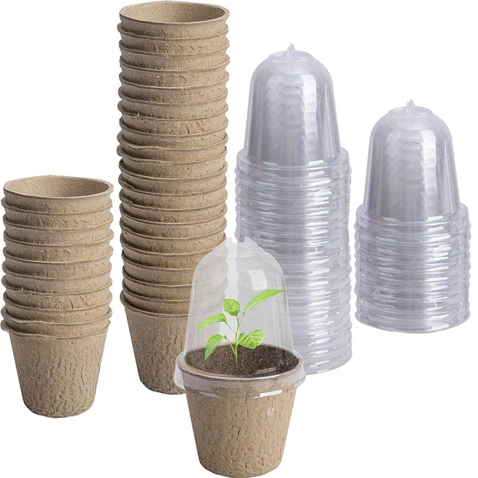 Pots de démarrage anti-pourrissement avec trous de drainage et dômes en verre pour sauver vos semis