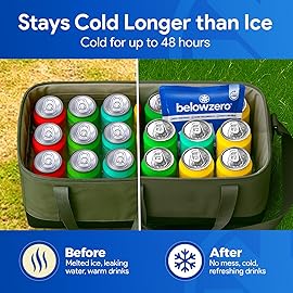 Below Zero Prefilled Reusable Ice Packs for Coolers | Long Lasting Freezer Ice Blocks for Camping, Lunch Bags & More | 48 Hour Cooler Ice Pack Technology | Small 7.5x6.5 (5-Pack)