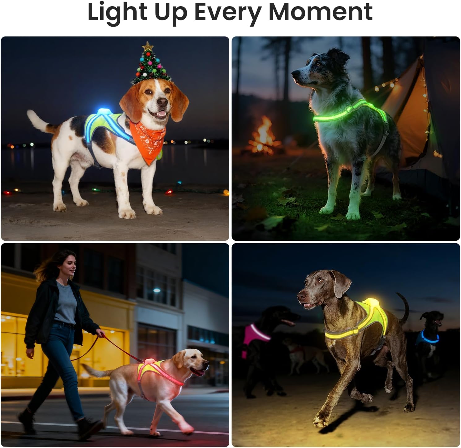 Xlife Light Up Dog Harness for Night Walking & Camping – Reflective Multicolored LED Pet Vest Harness, USB-C Rechargeable, Rainproof, Adjustable, No Pull & Safe for Dogs (S)