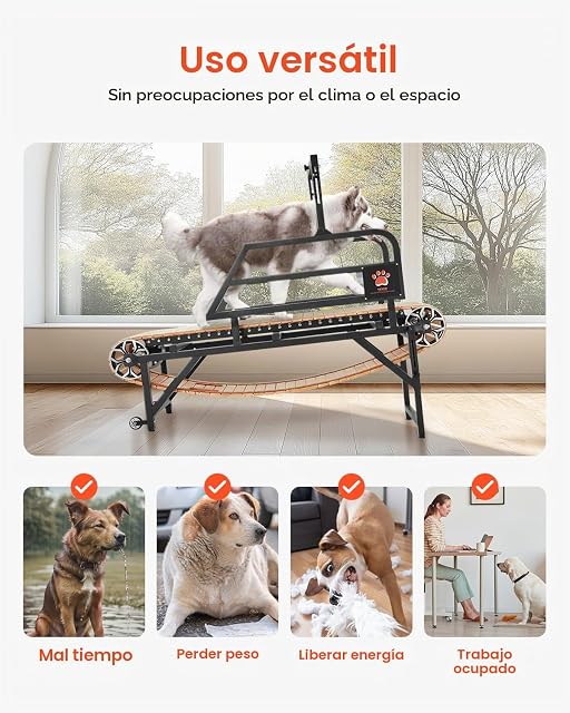 Foto 6 de 8 de VEVOR Cinta de Correr para Perros Grandes de 190 x 56 x 143 cm, Capacidad de Carga de 100 kg
