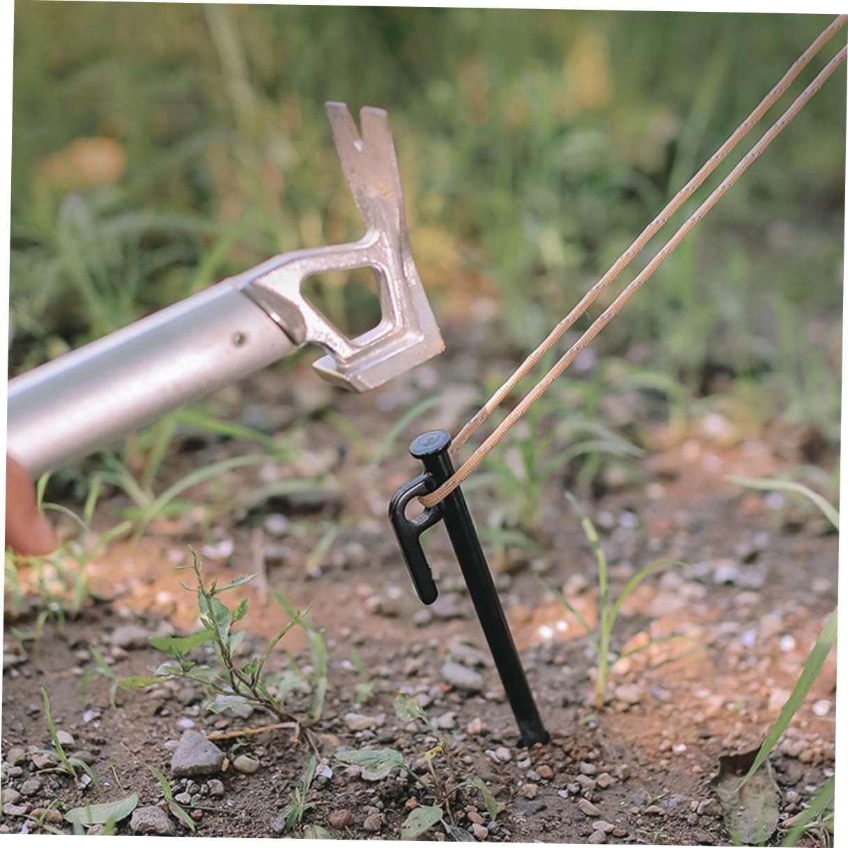 DOITOOL Heavy Duty Tent Stakes Set 8pcs Metal Ground Anchors 30cm Black Camping Tent Pegs with Storage Bag for Outdoor Camping