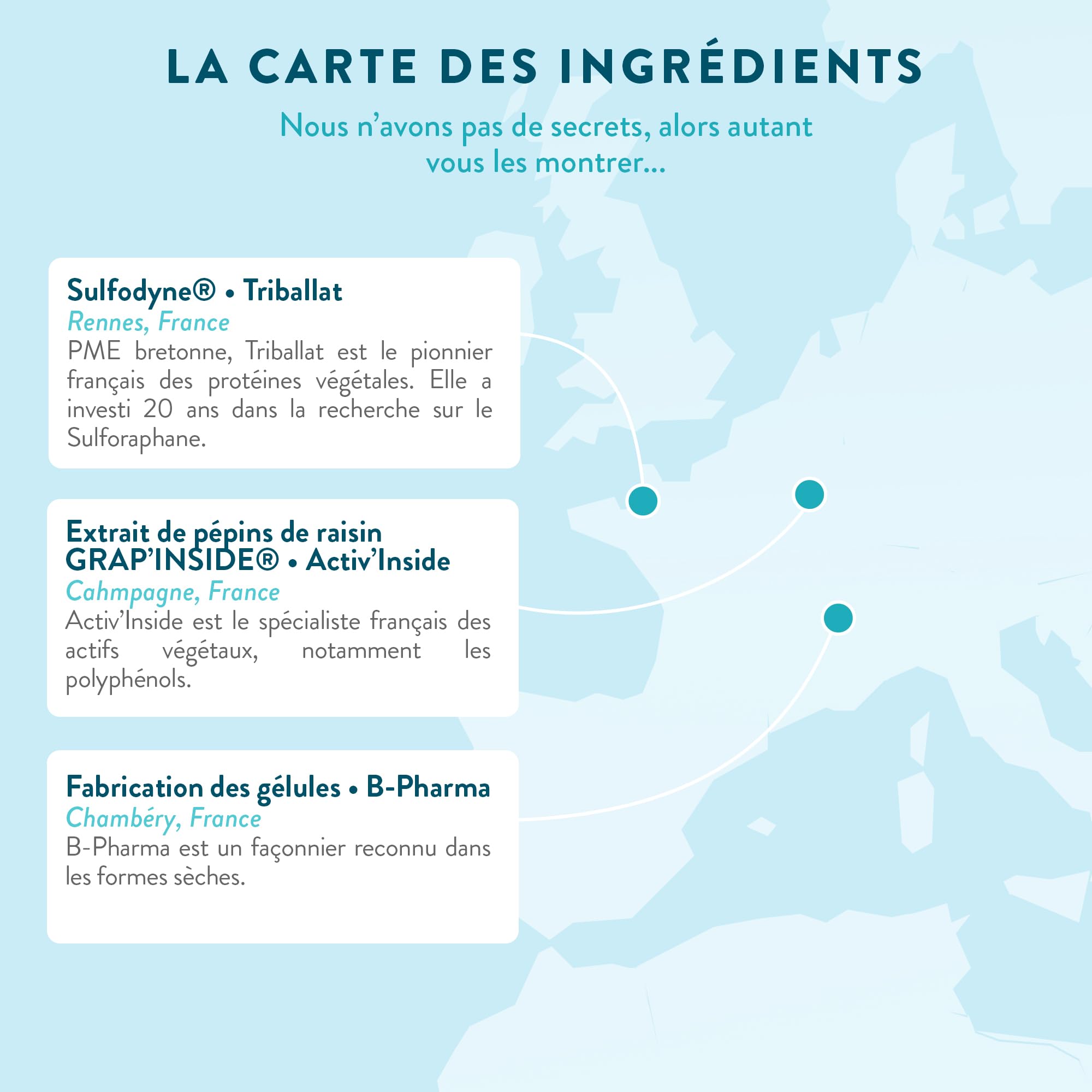 NUTRI & CO Antioxydant - Pépins de Raisin OPC et Sulforaphane de Brocoli - Vit C Précurseur du Collagène - Mix Bio-disponible Anti-âge pour la Peau - 60 Gélules Vegan - Fabriqué en France