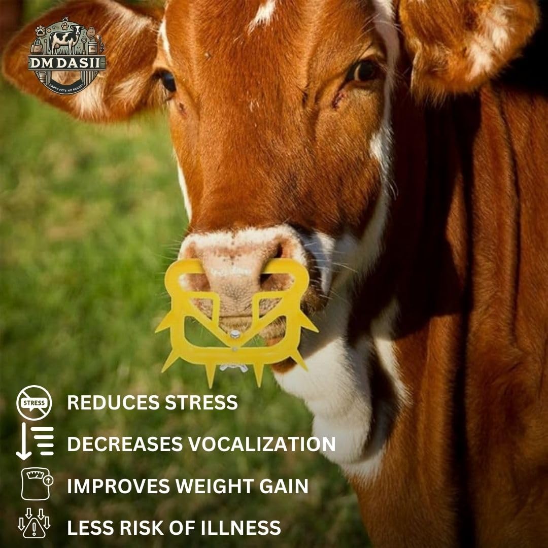 Cattle Weaning Nose Ring - Safe & Humane -4 Cattle Weaning Nose Ring - Safe & Humane -4