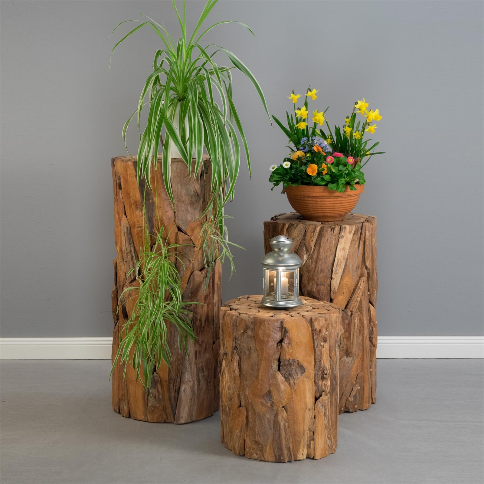 Blumen SÄULE Malea 80" | Treibholz, 80cm | Holz Podest, Blumen Podest, Massive Treibholz Deko Säule, Boden Säule, Pflanzen Ständer, Blumen Sockel