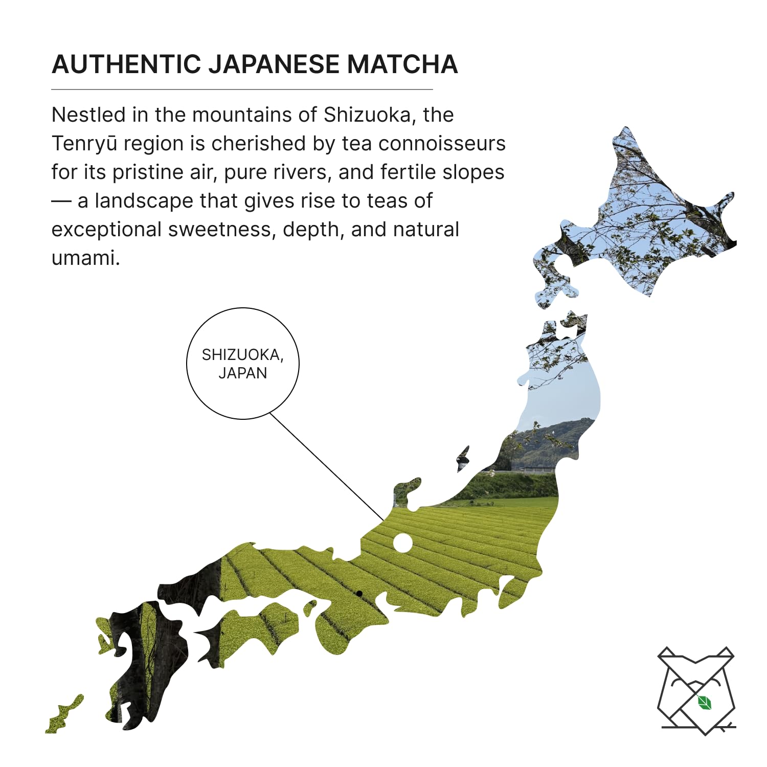 FKRO Organic Ceremonial Grade Matcha Green Tea Powder 1st Harvest Single Origin Single Saemidori Cultivar Flown in Fresh — view 5