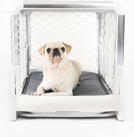 diggs dog crate