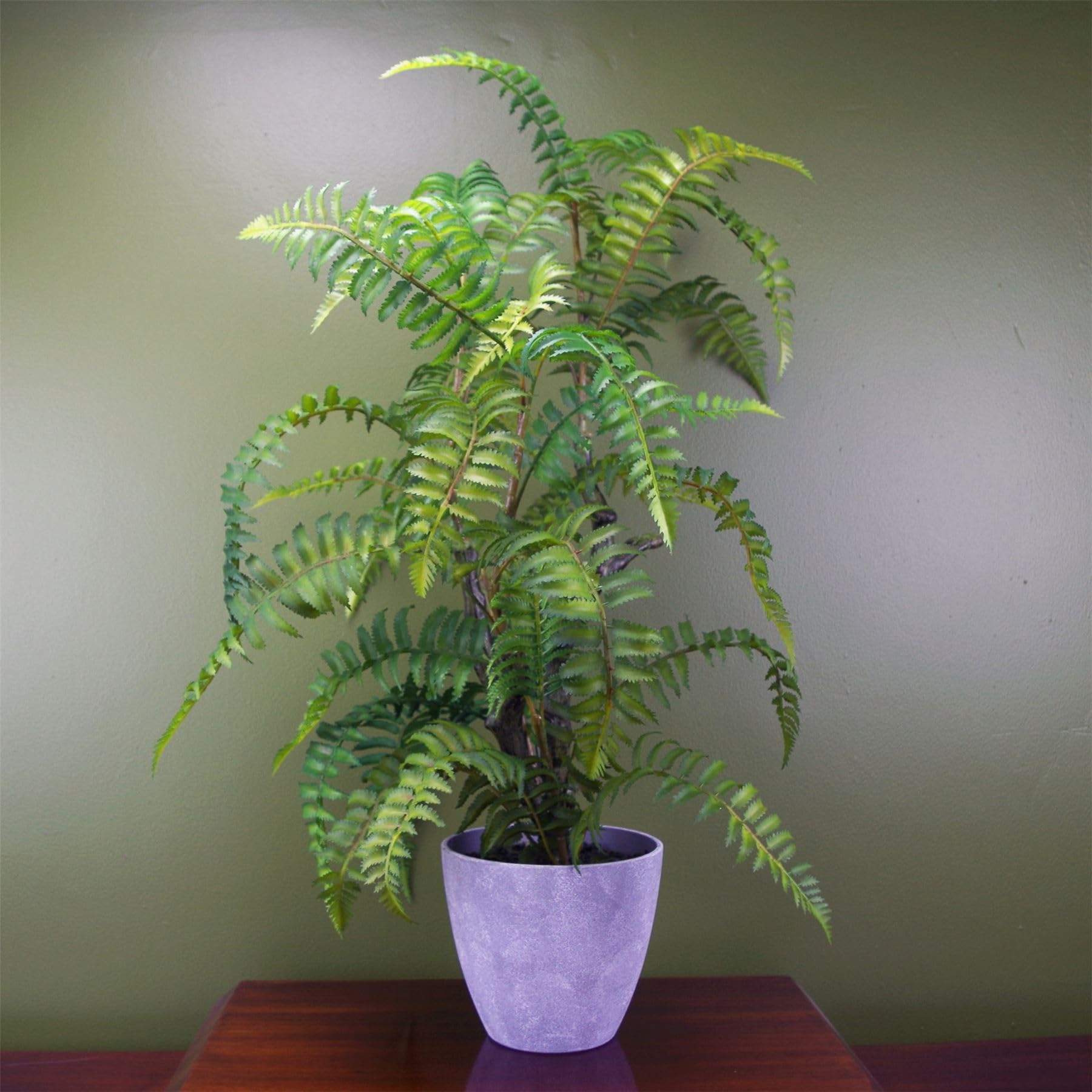 Botanik Premium Artificial Fern Grass
