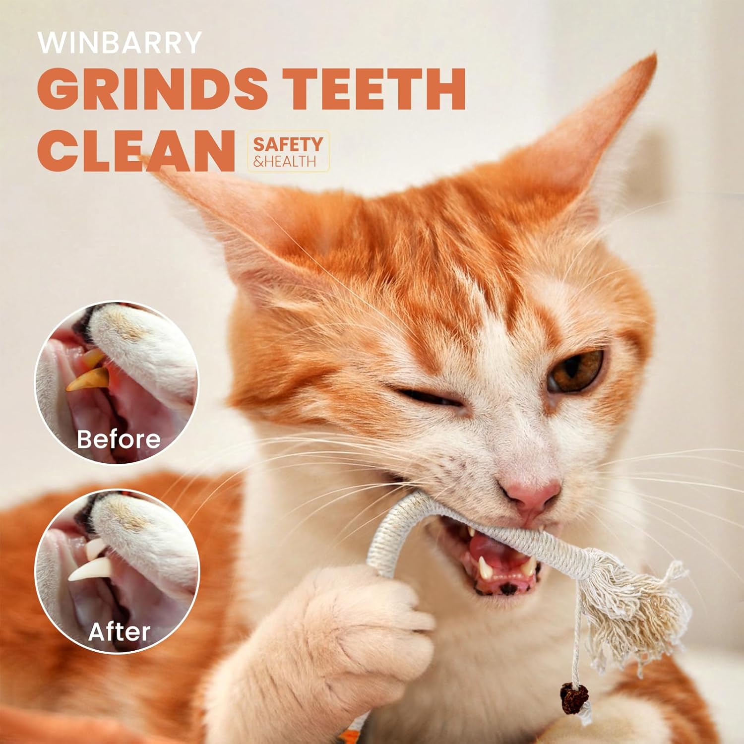 winbarry Cat Toys, Interactive Cat Toy for Indoor Cats, Kitten Teething Cats Chew Nip Toy Rope, Safe Teeth Cleaning Chew 9