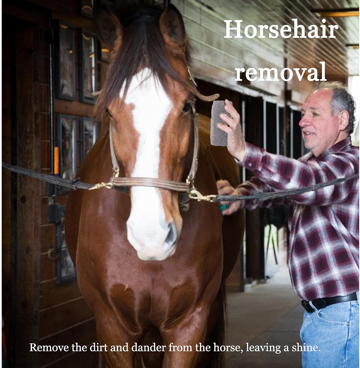 Tvwen Pet Hair Remover, Remove Dog, Cat, and Other Pet Hair from Furniture, Carpet, Bedding, and Clothing. for Dogs, Cats, Rabbits Horses & More (1 Pack) : Pet Supplies