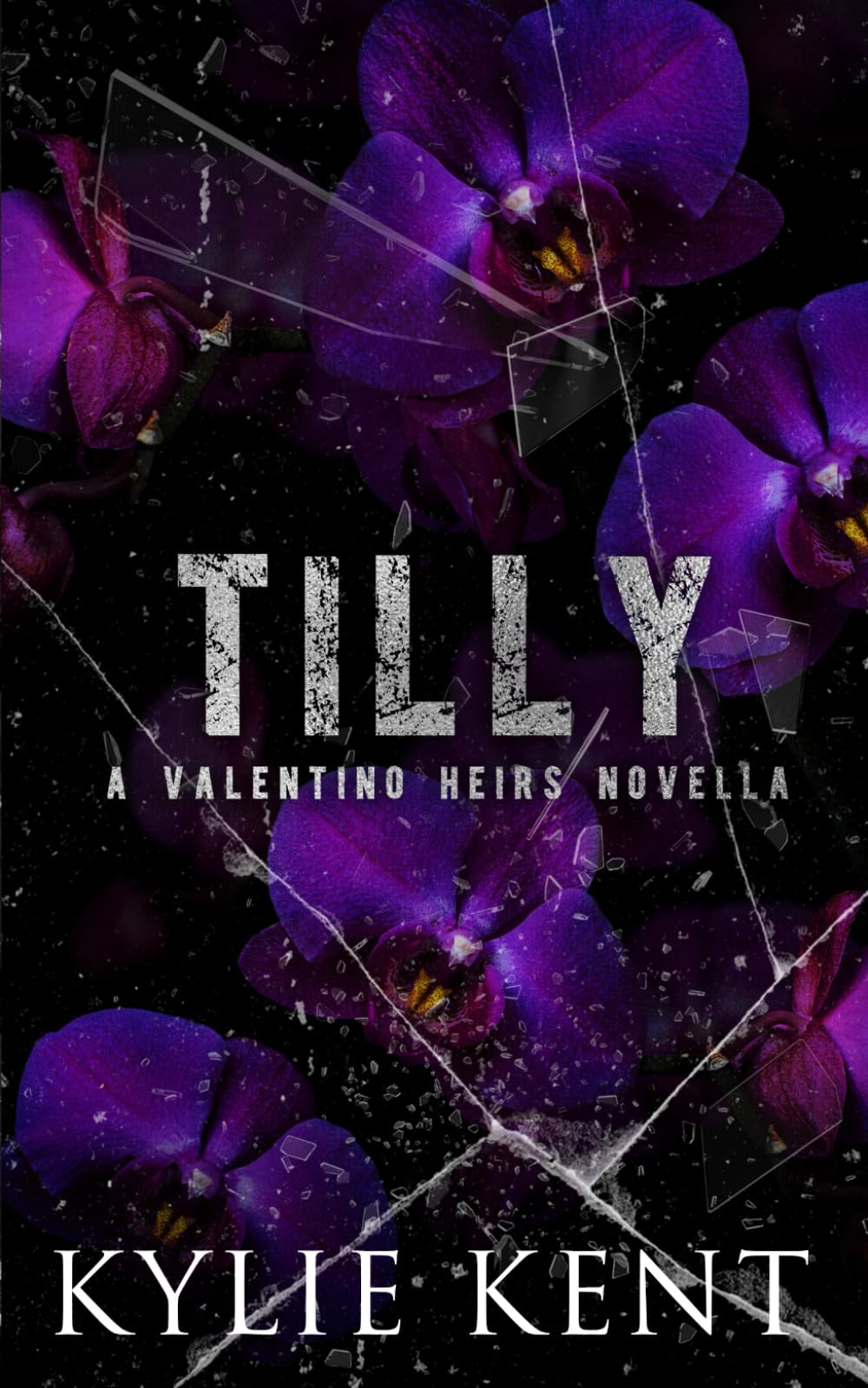 Tilly: A Valentino Heir Novella