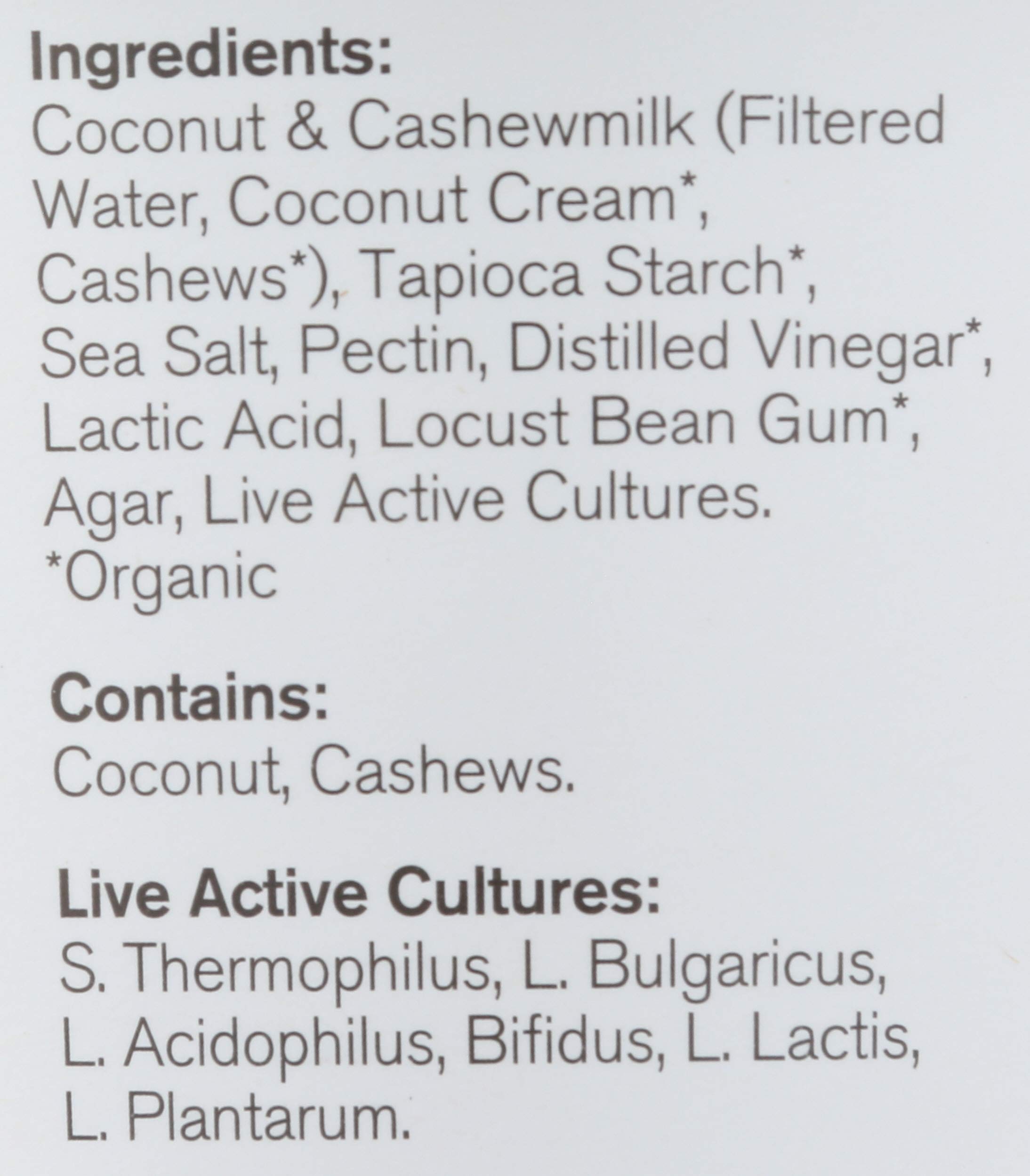 Forager Project Organic Dairy-Free Sour Cream Alternative 12 Ounce — view 3