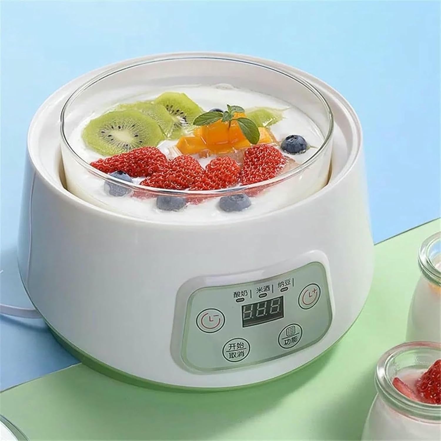 Yogurt Maker, Automatic Fermenter, Ceramic Container for Yogurt, Cups, Wine Fermentation Machine and Natto Rice, Yogurt Machine