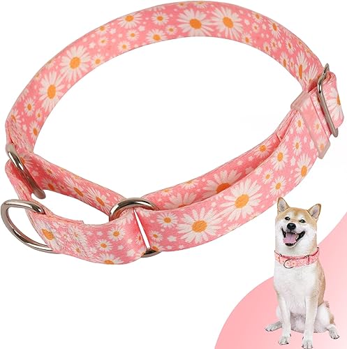 Martingale - Collar para perros de nailon suave ajustable con diseño especial de margaritas rosadas, bonitos patrones para perros pequeños, medianos Martingale - Collar para perros de nailon suave ajustable con diseño especial de margaritas rosadas, bonitos patrones para perros pequeños, medianos