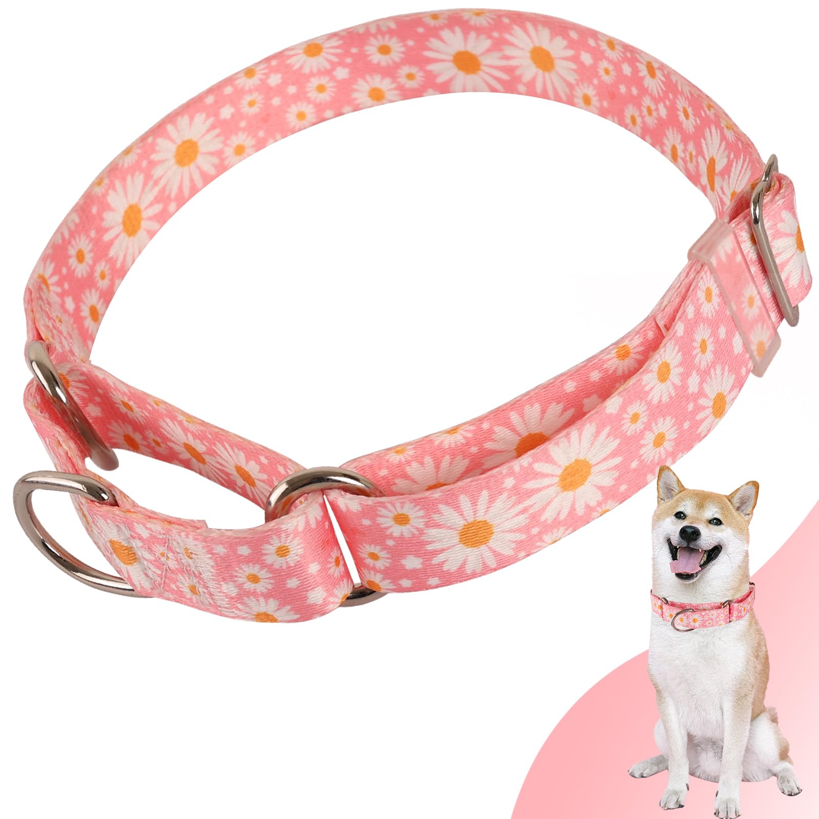 Martingale Collar for Dogs Medium Large, Girl Dog Collars with Adjustable Soft Nylon and Special Pink Daisy Floral Design, Training No Slip Dog Collar