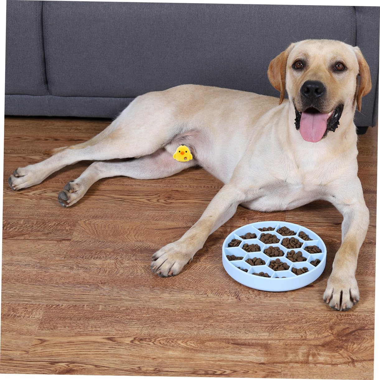 VICASKY Ciotola per Cani Ventosa Antiscivolo Design Unico Angoli Arrotondati Slow Feeder in Silicone Anti-ingozzamento Facile da Pulire, per L'alimentazione Lenta