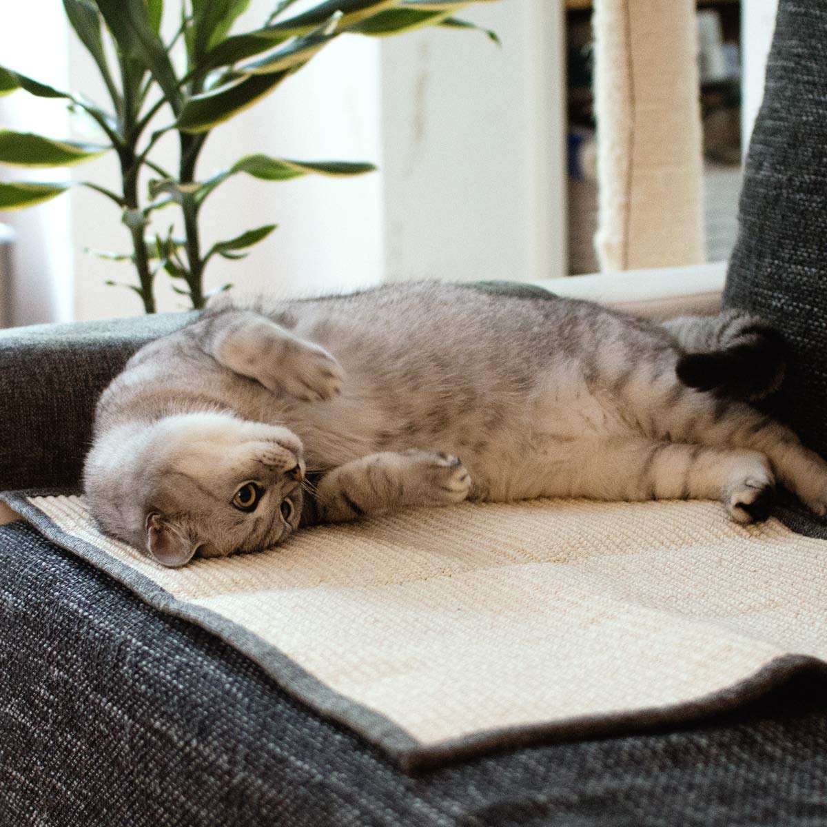 Navaris Tapis Griffoir pour Chats - Protection Canapé Fauteuil Meuble Sol Mur - Tapis en Sisal et Lin - 130 x 45cm - Adapté pour Chat Chaton Chien