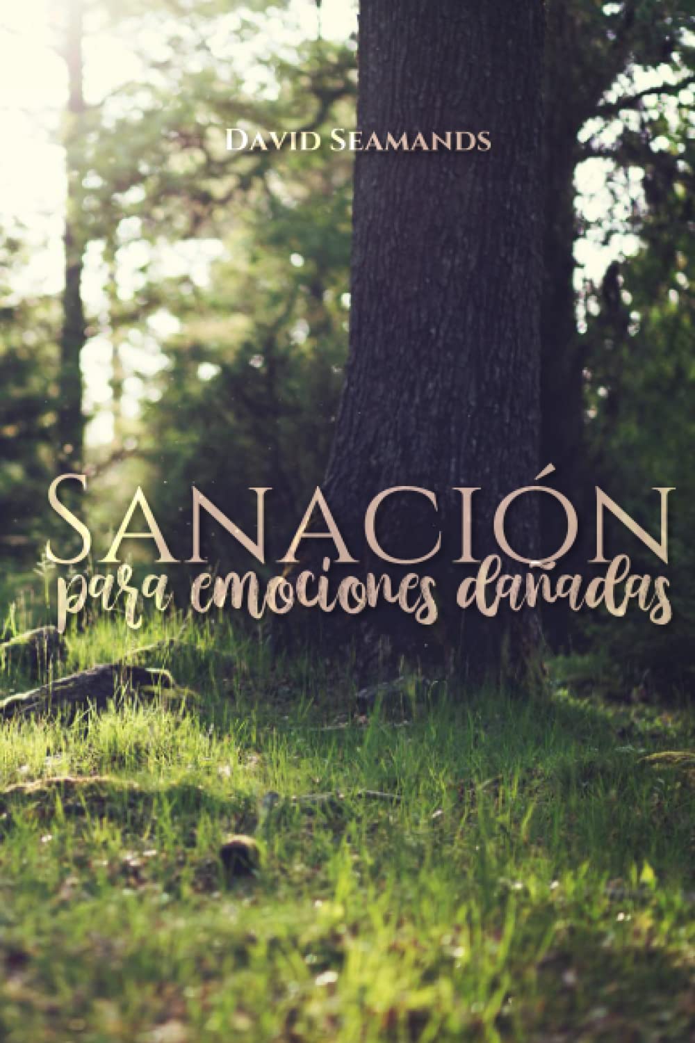 Sanación para emociones dañadas (Spanish Edition)