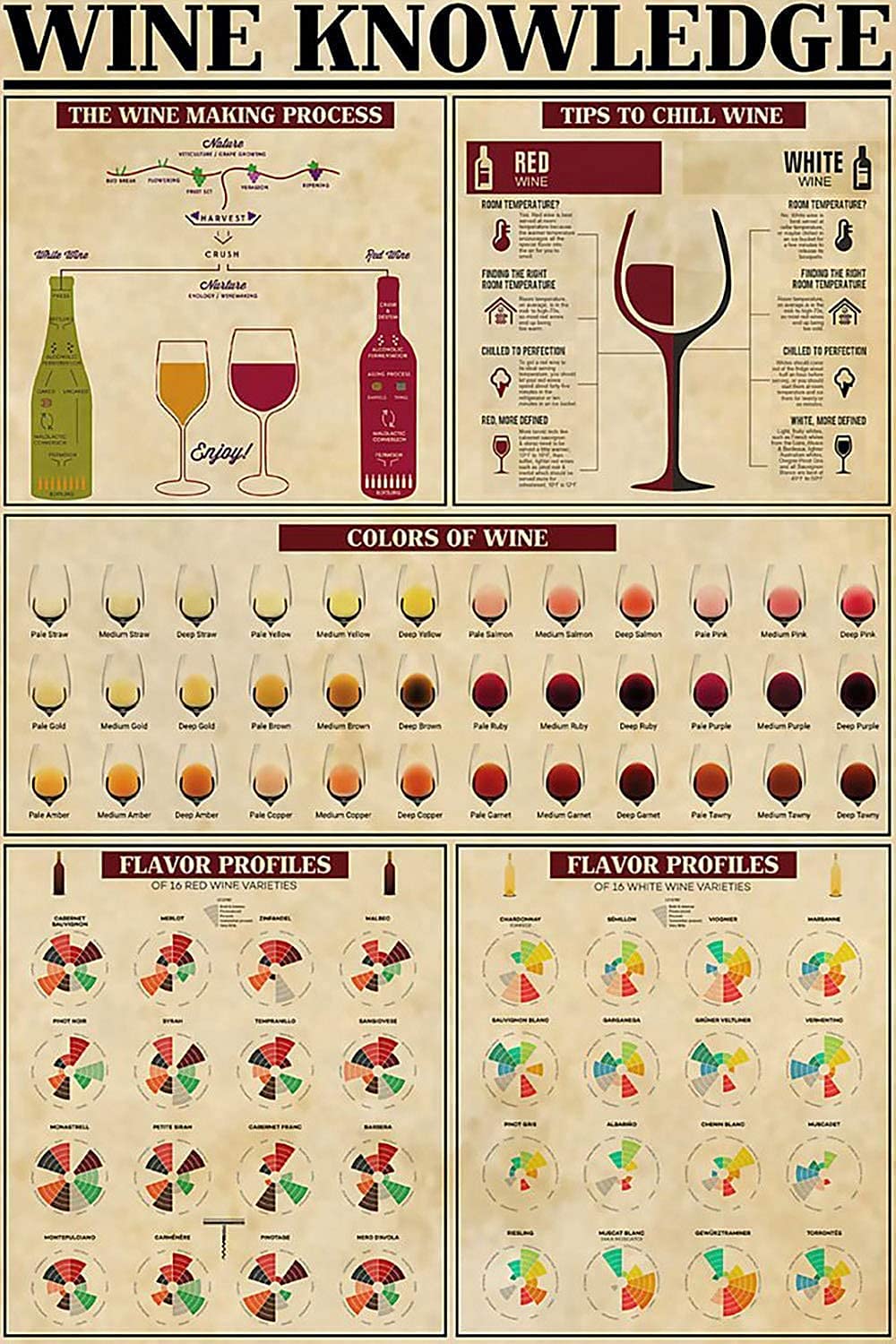 rayprint Colors of Wine Infographic Retro Tin Poster Wine Knowledge Metal Sign Home Kitchen Bar Cafe Club Wall Decoration Plaque 12x16inch