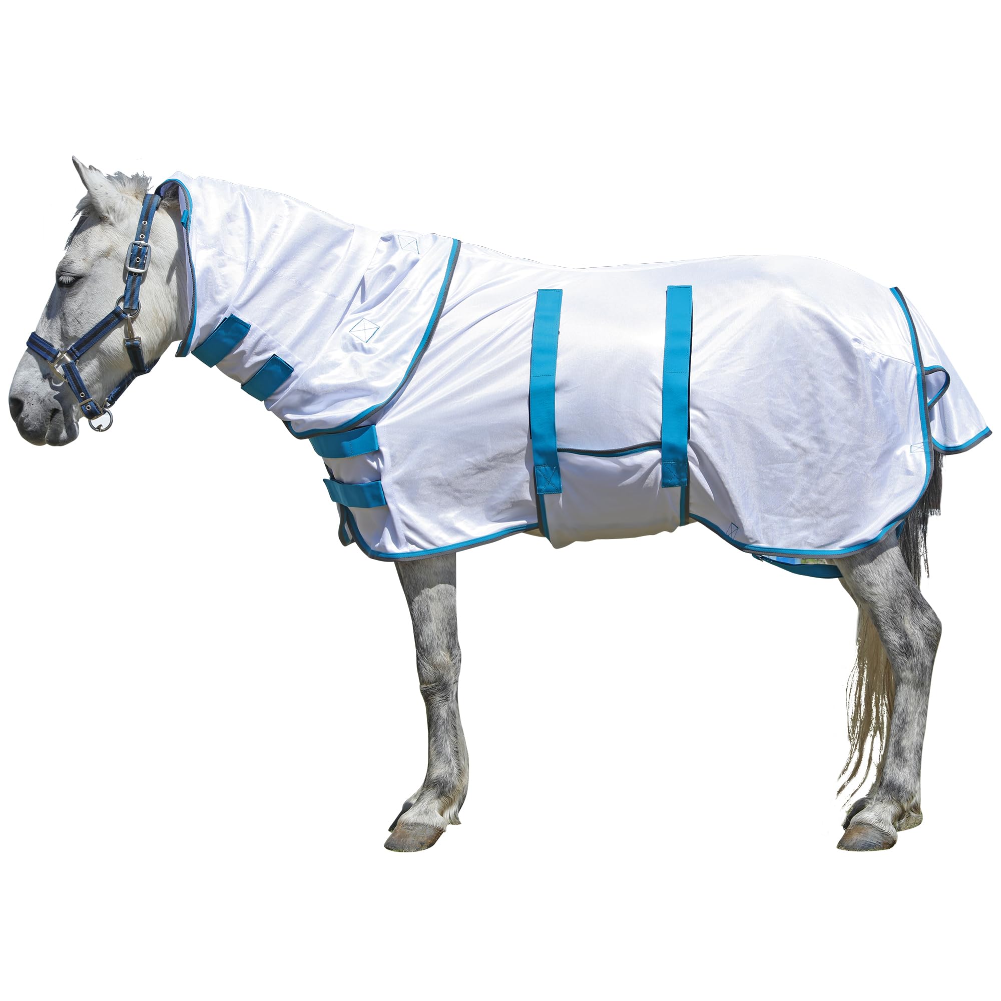 LEAFOREST Sábana de caballo en miniatura con cubierta para el cuello y banda para el vientre | Sábanas de verano de malla transpirable con protección UV para mini caballos, potros, burro, blanco, 147 cm