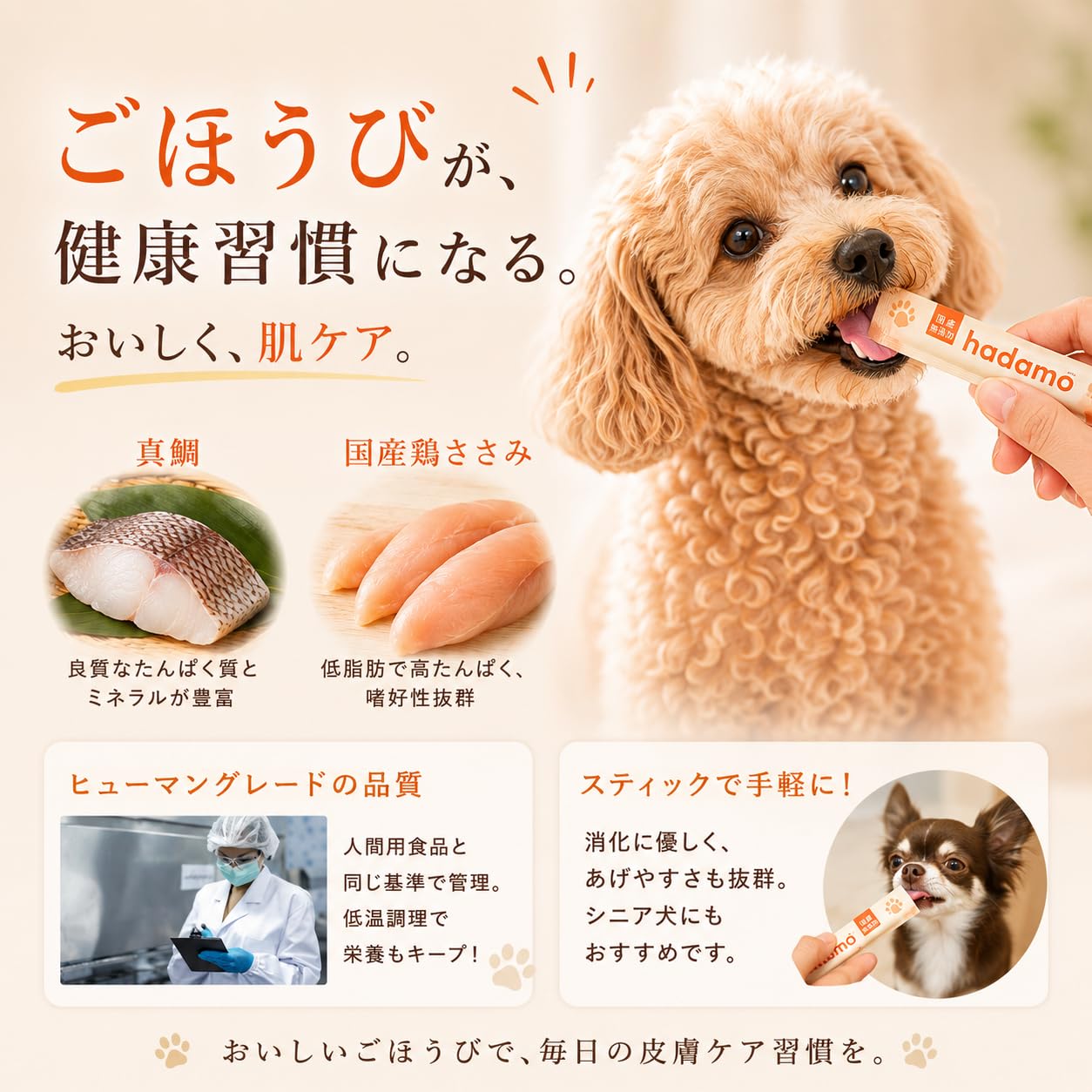 Amazon | 【獣医師監修】 犬 皮膚 かゆみ サプリ 【 乳酸菌H61配合 無