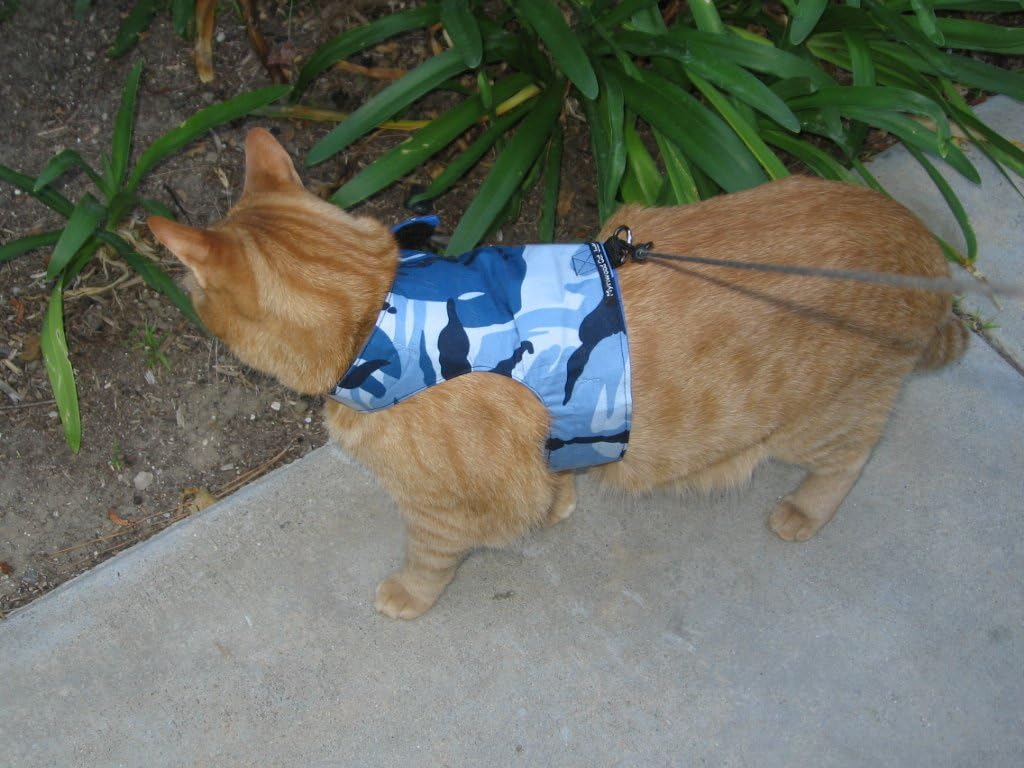 Mynwood Cat Jacket/Harness Blue Combat Adult Cat