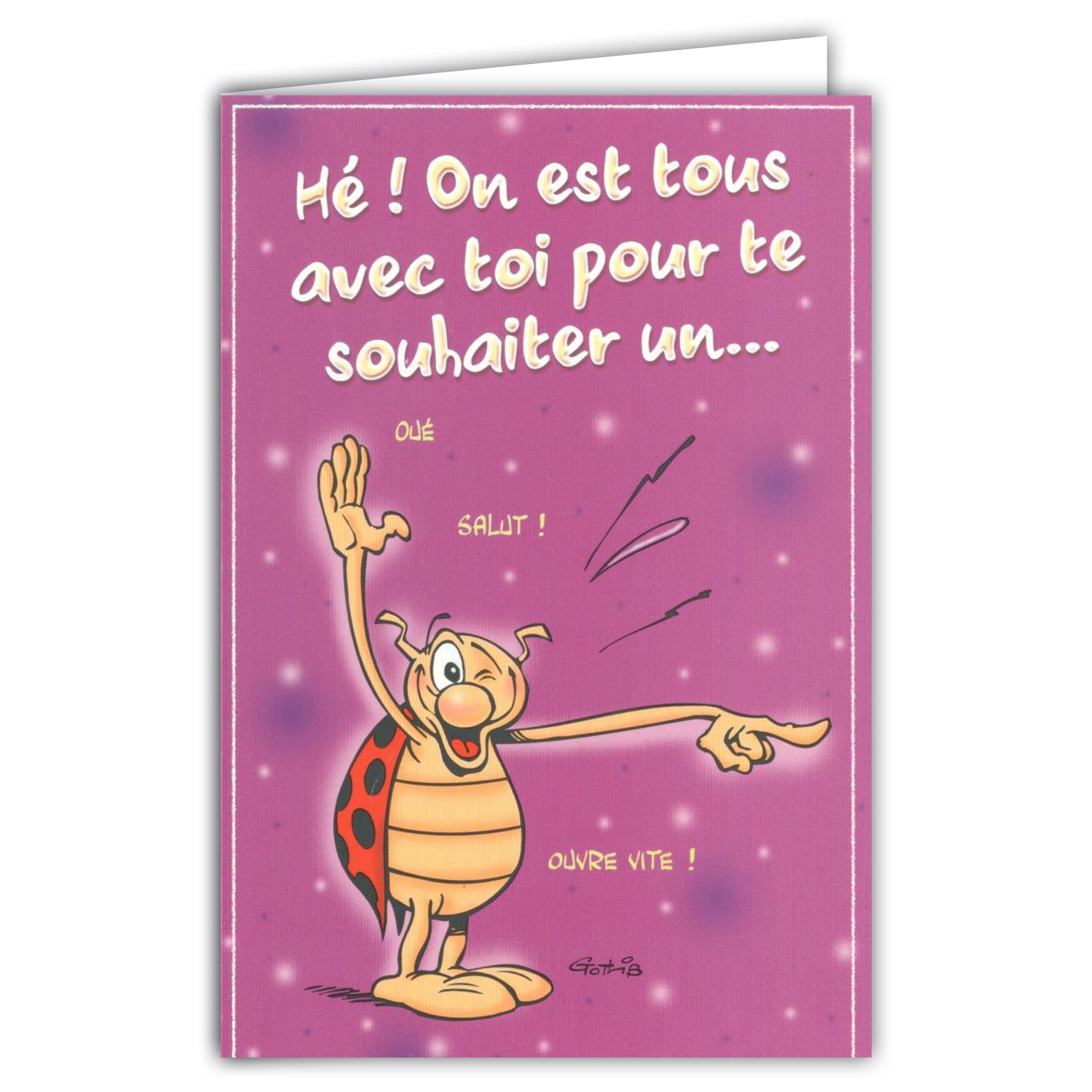 The Ladybird de Gotlib Greetings Card & Envelopes - 1 Year Above - CD Cox 512