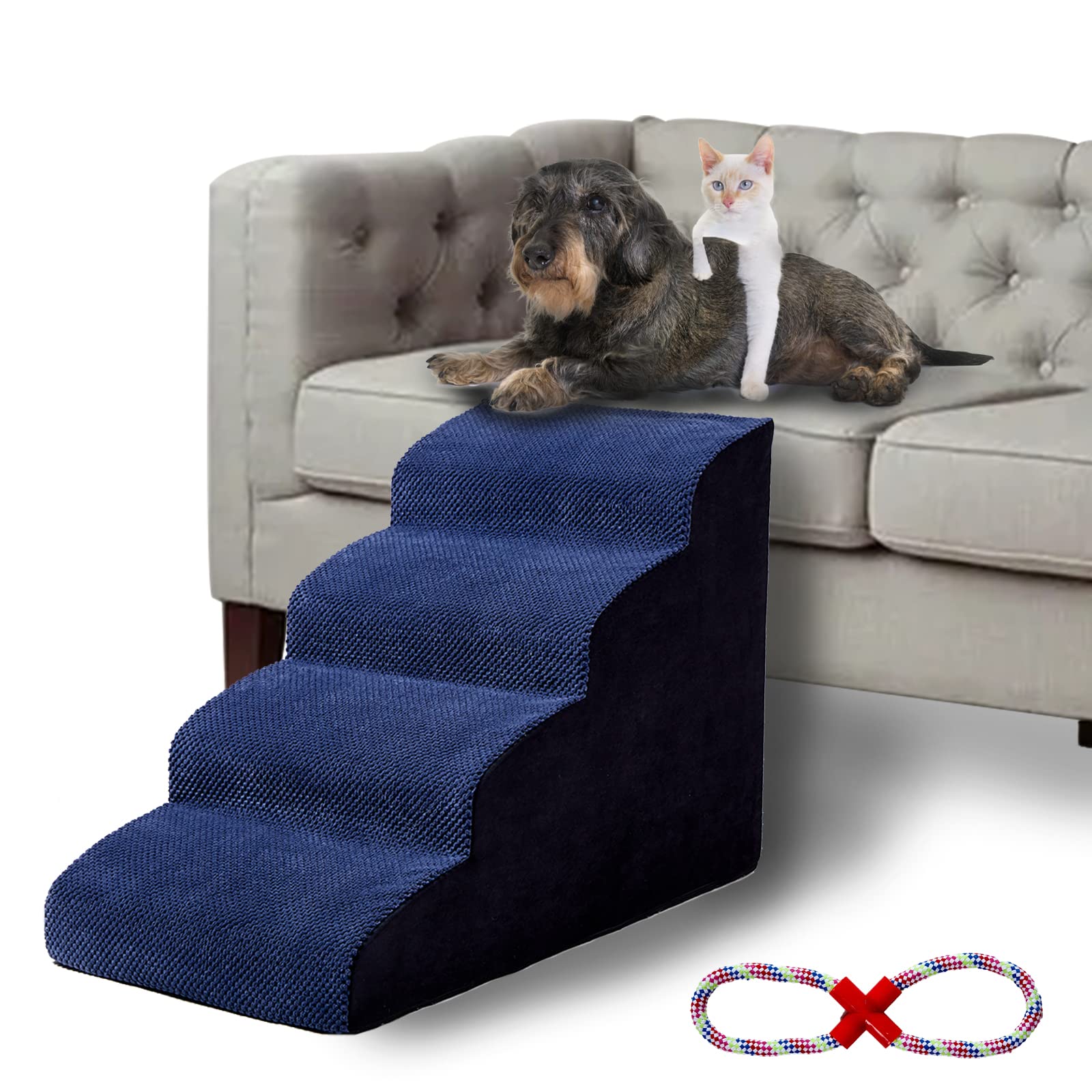 When Should Puppies Do Stairs