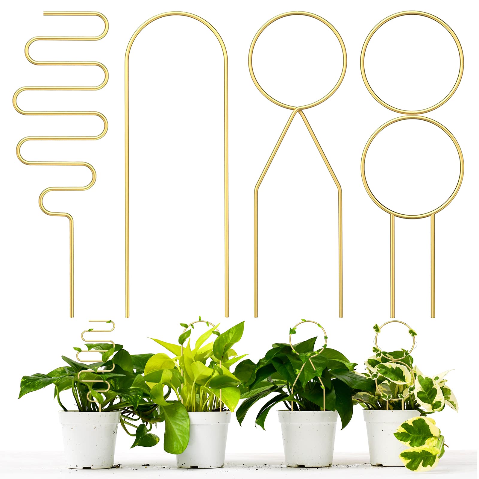 Amazon.co.jp: 4個 小さな金属格子縞 鉢植え用 屋内の登山植物用 