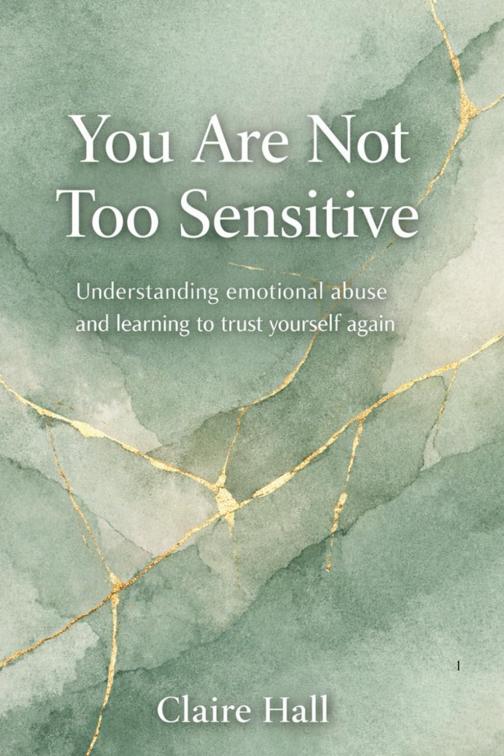 You are not too Sensitive: Understanding emotional abuse and learning to trust yourself again