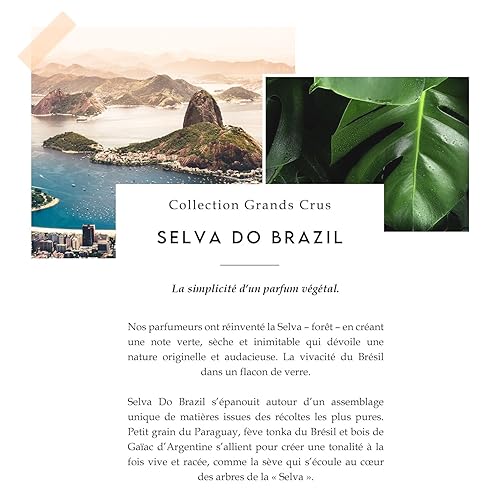 Miniatura 3 de Berdoues Eau de Parfum Spray Selva Do Brasil, para mujeres y hombres, 3.4 onzas líquidas