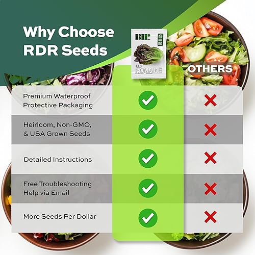 Miniatura 5 de 1000 semillas de lechuga romana roja, reliquia, sin OMG, cultivadas en Estados Unidos, semillas de lechuga premium en embalaje de primera calidad -