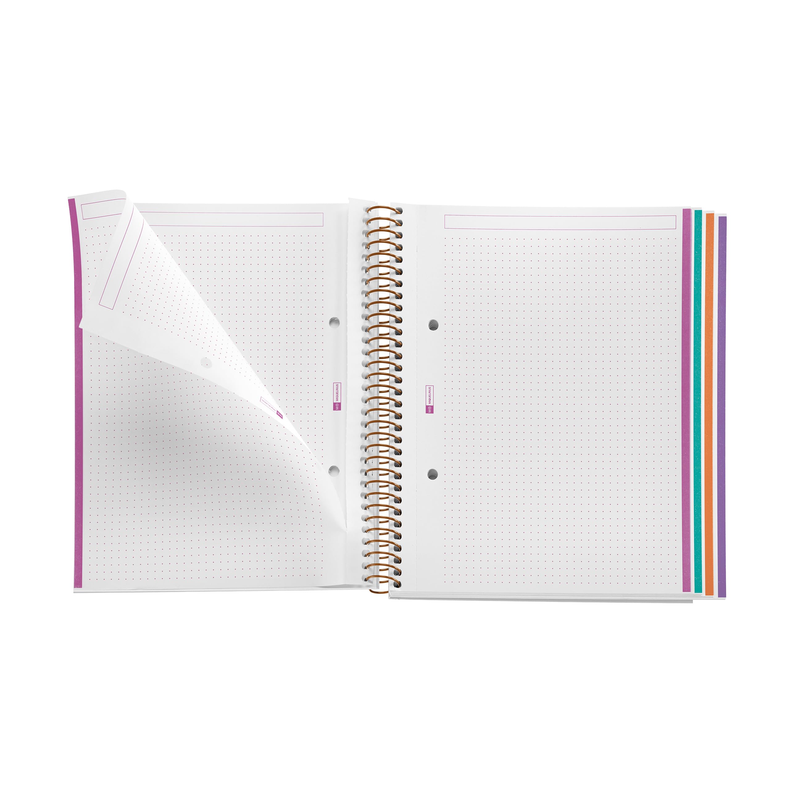 Miquelrius, A5 notebook (148 x 210 mm), 100 dotted sheets of 70 g/m², rigid cardboard cover, 4 coloured bands, spiral - Image 3