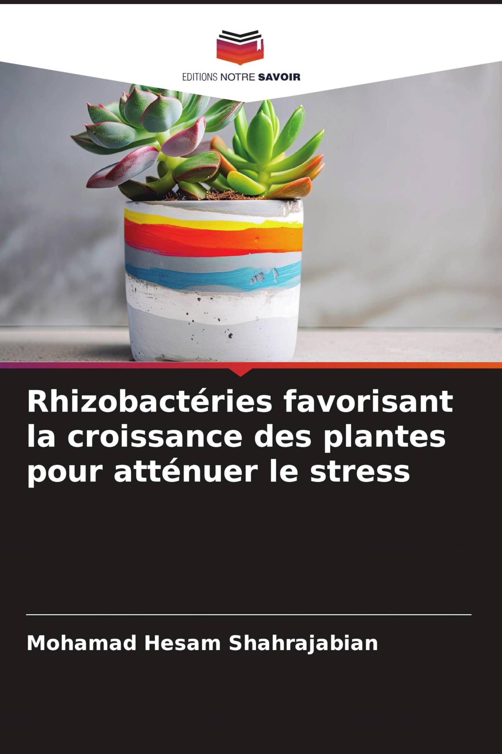 Rhizobactéries : Boostez la Croissance des Plantes et Réduisez le Stress