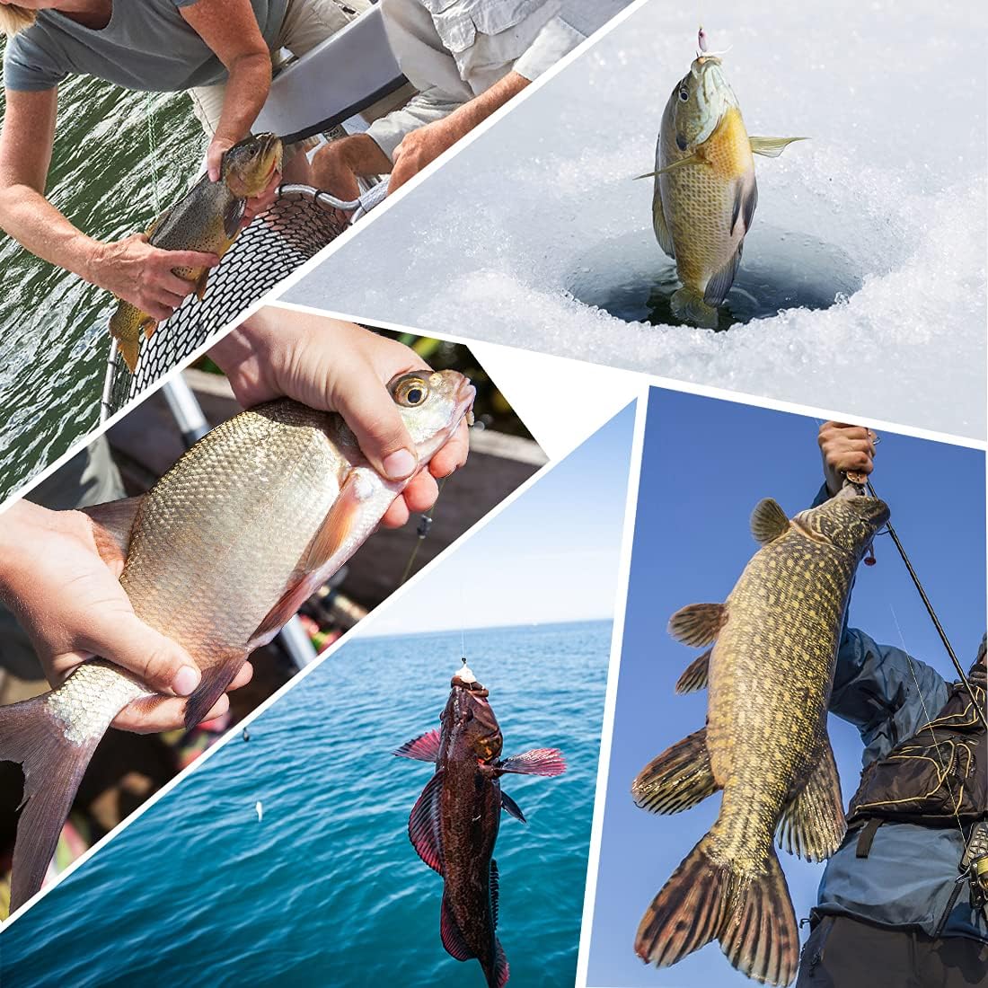 Drasry Fishing Hooks Set High Carbon Steel Large Fish Hook Kit Suitable for Freshwater and Saltwater Bass Trout Fish Walleye (300PCS Small Hooks(6# to 14#)) : Sports & Outdoors